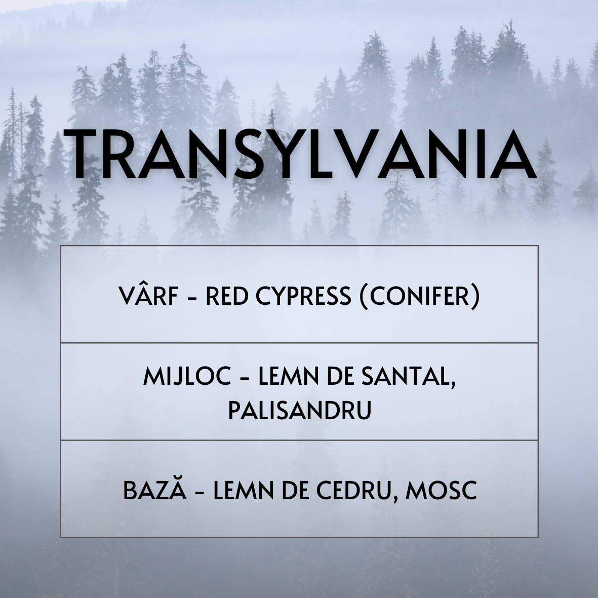 Transylvania